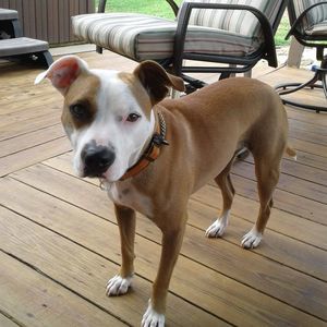 Meet your Posher, Amy